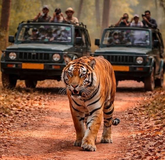 Jim Corbett