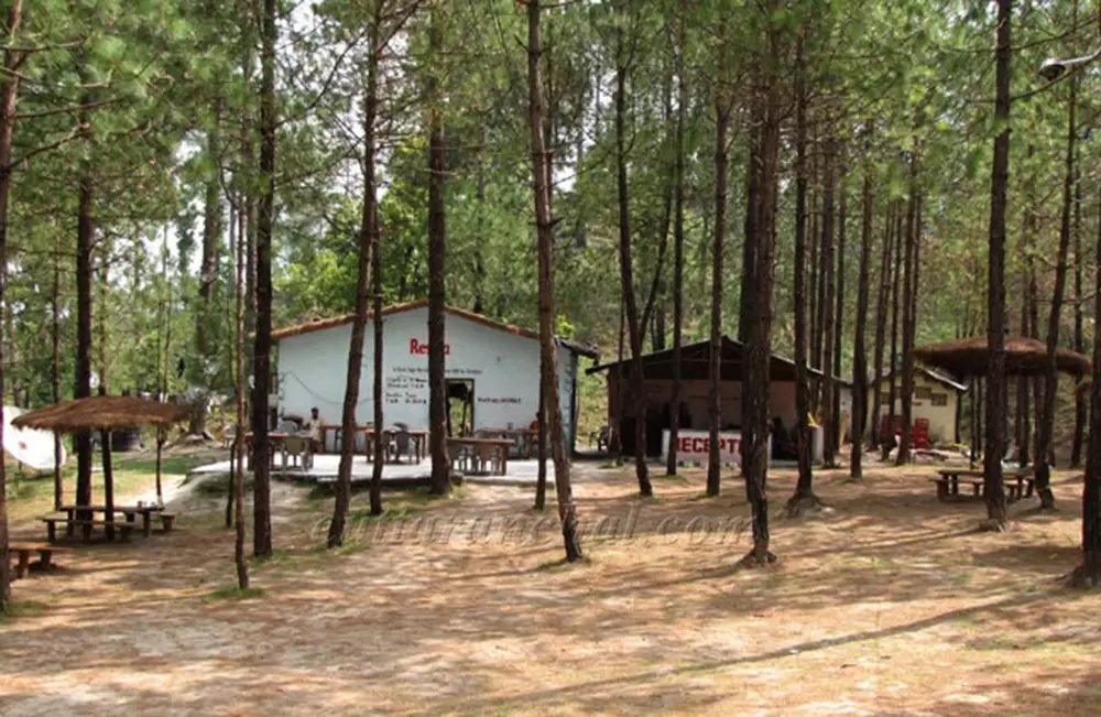 Lansdowne Forest View